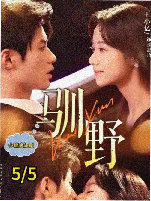 经典电影 成人免费在线 卡萨布兰卡